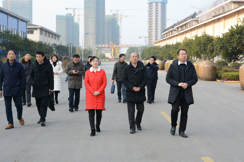 咸宁市咸安区副区长徐珍一行调研黄鹤楼森林美酒小镇